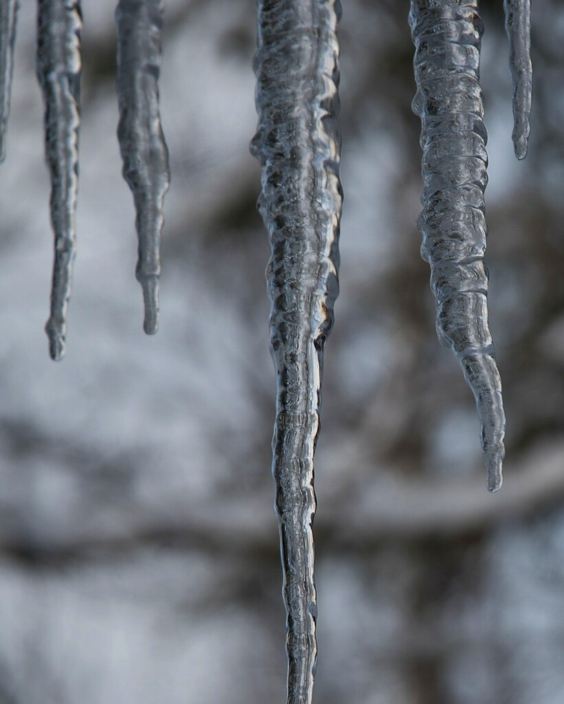 Icicle by dawnbjohnson2