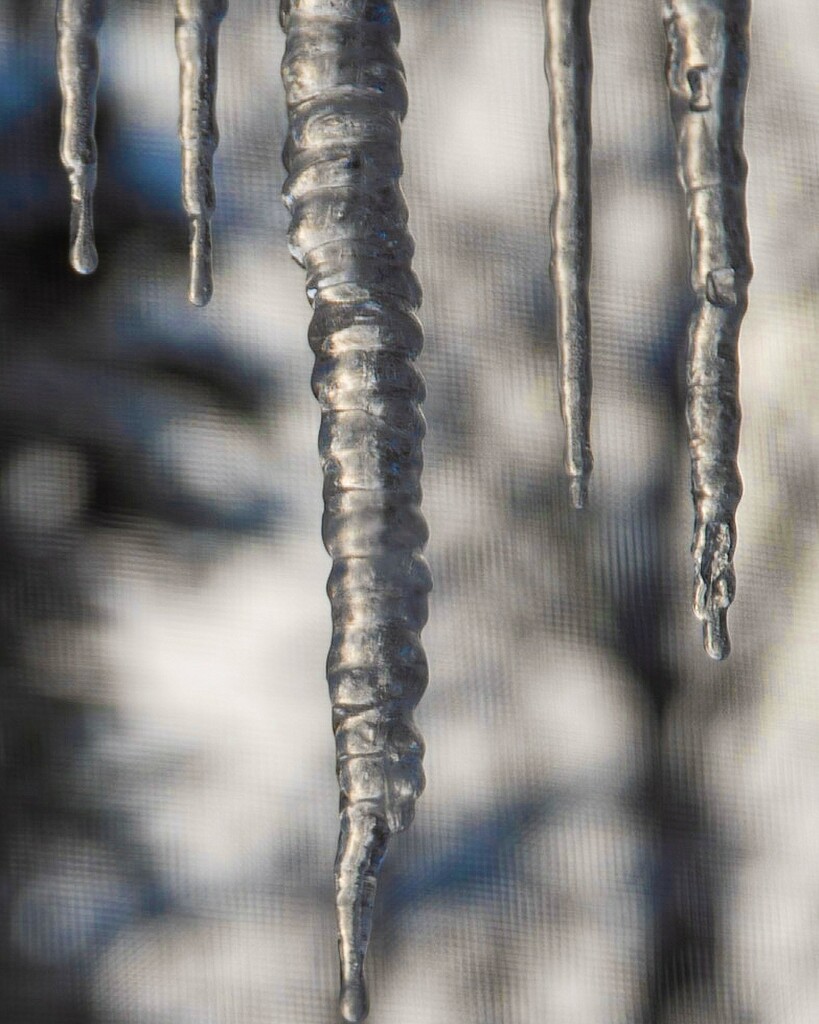 Icicles by dawnbjohnson2