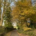 Autumn lane by cafict
