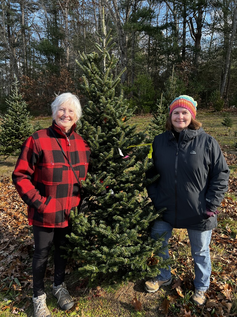 Picking out our Christmas tree by berelaxed