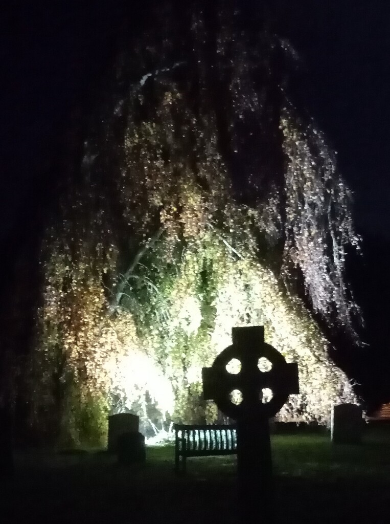 Churchyard Tree by g3xbm