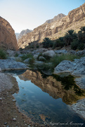 27th Nov 2021 - Wadi Al Arbeieen - reflection
