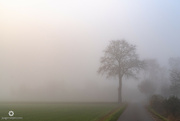 28th Nov 2021 - Morning fog
