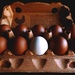 Egg-sposed  by moonbi