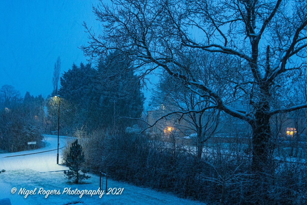 Snowy evening by nigelrogers