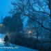 Snowy evening by nigelrogers