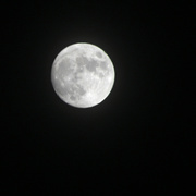 17th Nov 2021 - Just Another Of The Moon...