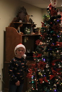 28th Nov 2021 - Peyton with his Santa hat, finishing up with the decorating. 