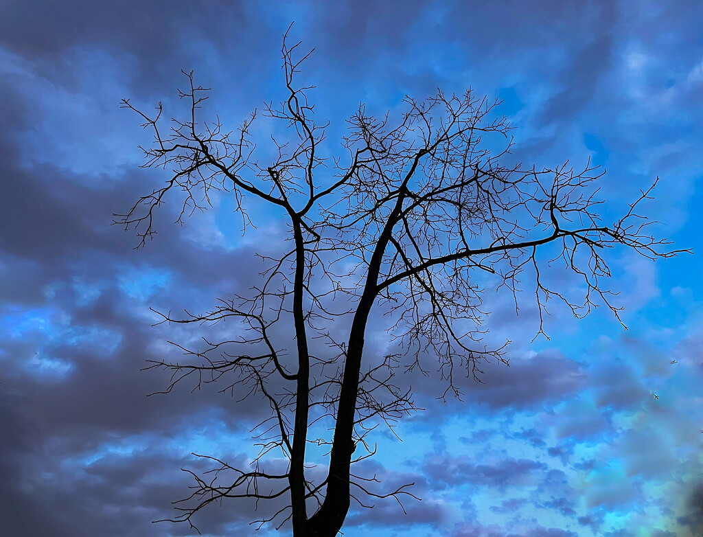 Dramatic Evening Sky by jbritt
