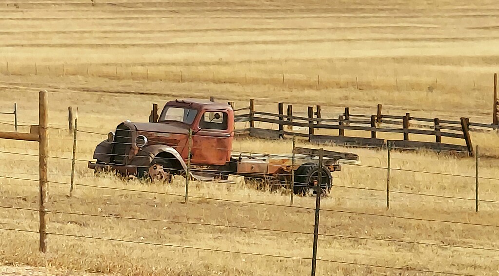 Old Country Truck by harbie