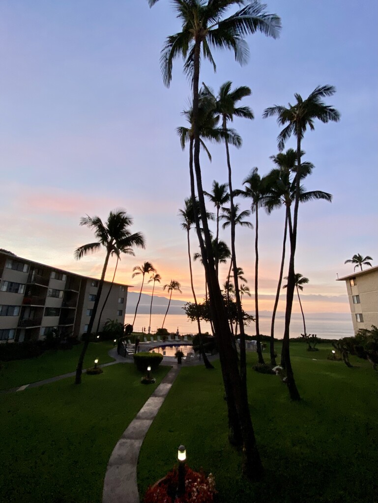 Maui Sunrise by clay88