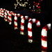 Candy cane lights by acolyte