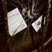 Stationary bike. by jgoldrup