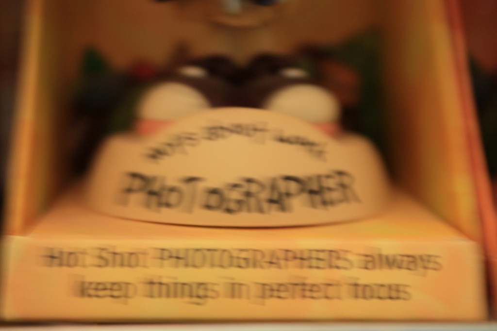 Low ISO = slow shutter = out of focus. by jgoldrup