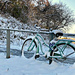 bike on ice by summerfield