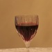 Vice #4: Wine by spanishliz