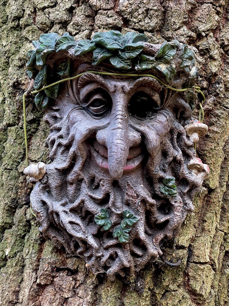 Green Man by tinley23