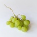 Bunch of Grapes  by salza