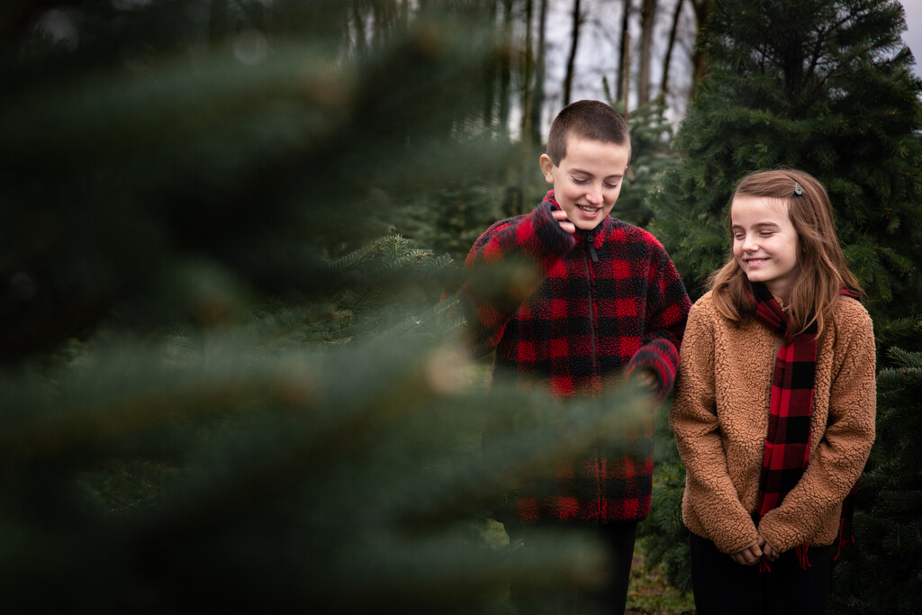 The Christmas Tree Farm by tina_mac