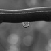 more water droplets by midge