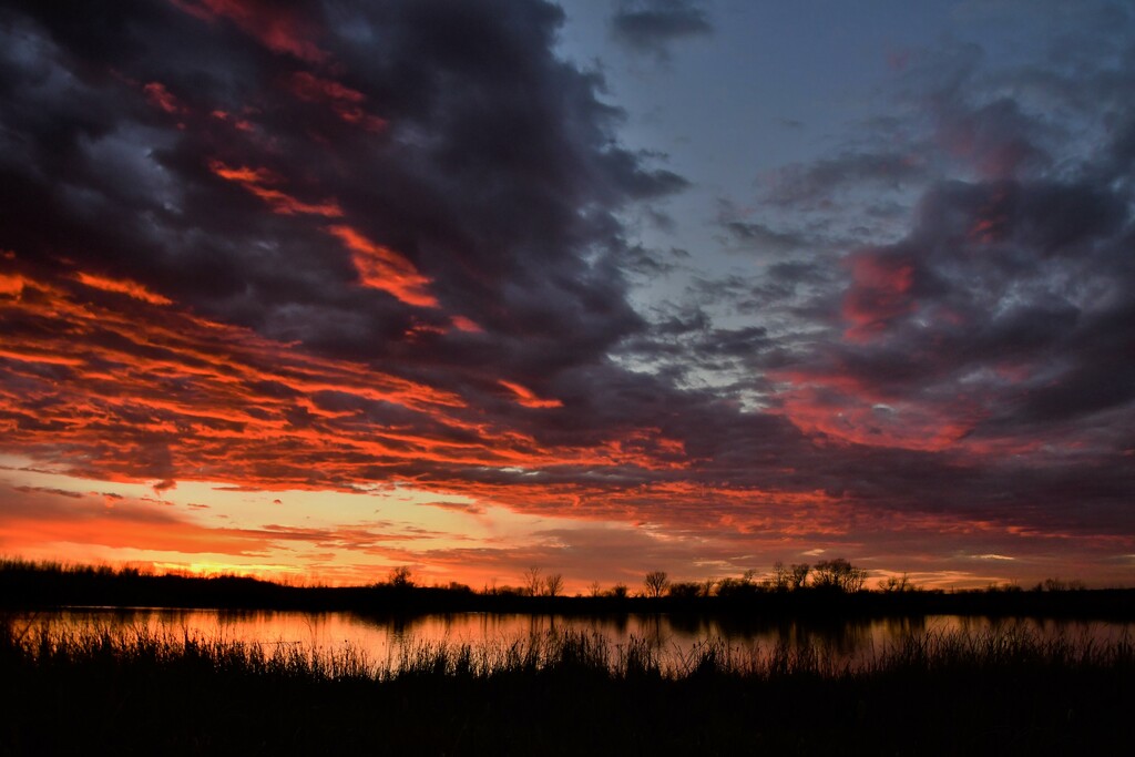 Baker Wetlands Sunset 11-30-21 by kareenking