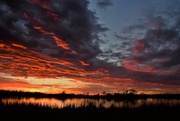 30th Nov 2021 - Baker Wetlands Sunset 11-30-21