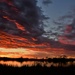 Baker Wetlands Sunset 11-30-21 by kareenking