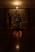 30th Nov 2021 - O Christmas Tree