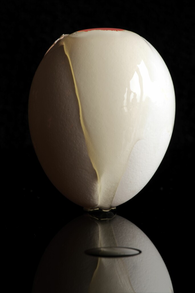 Full as an egg by moonbi