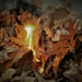 Day 322: Burning fall leaves ... by jeanniec57