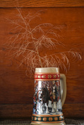 28th Nov 2021 - Tumbleweed In A Collector Beer Stein