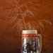 Tumbleweed In A Collector Beer Stein
