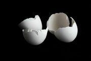 26th Nov 2021 - Egg Shells
