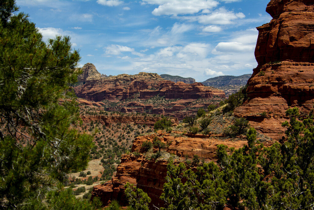 Red Rock Country by cwbill