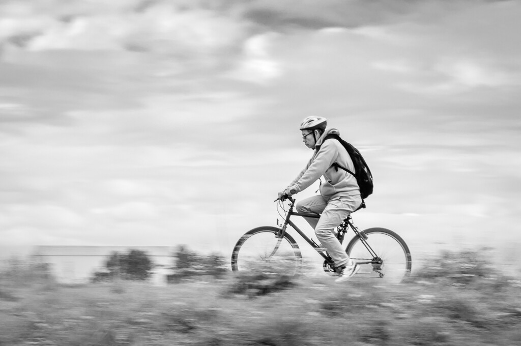 Cyclist by cdcook48