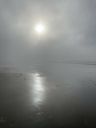 2nd Dec 2021 - Fog on the Beach