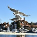 Blue skies and seagulls on our walk today by anitaw