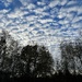 Mackerel Sky by tinley23