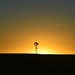 New Mexico sunrise by louannwarren