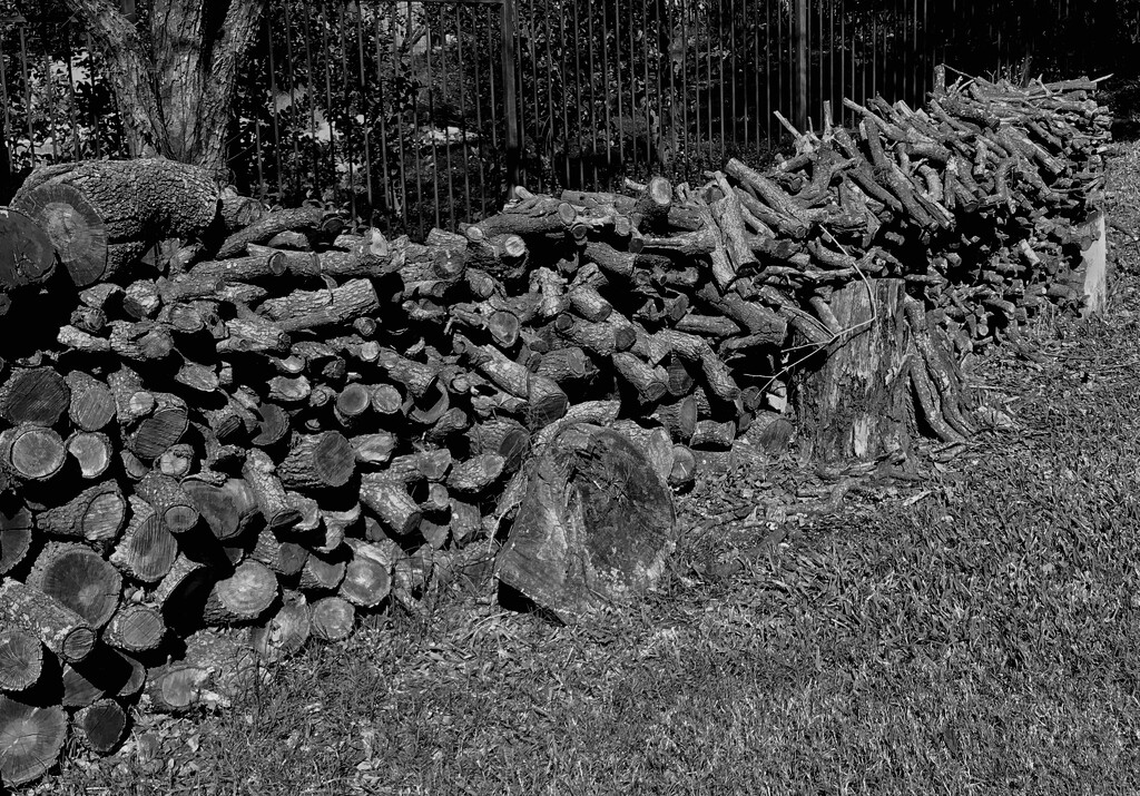 Wood pile  by dkellogg