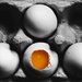 Egg-sposed ii by moonbi