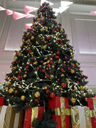 3rd Dec 2021 - Oh Christmas tree!