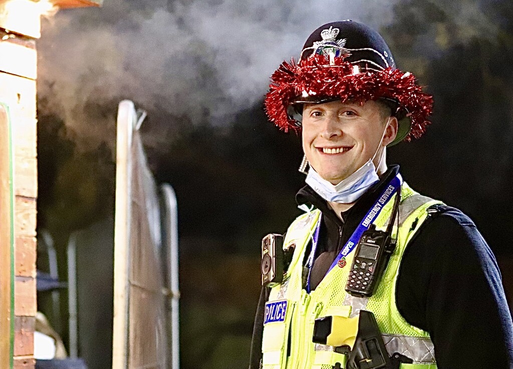 Festive Policeman by carole_sandford
