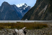 29th Nov 2021 - Milford Sounds in New Zealand
