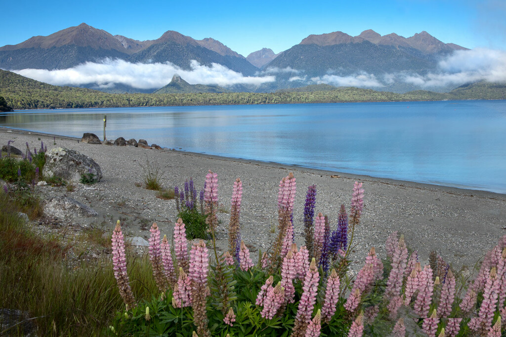 Lake Manapouri, New Zealand by suez1e