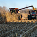 Harvest Glengarry Style by farmreporter