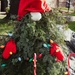 My Christmas gnome by dawnbjohnson2