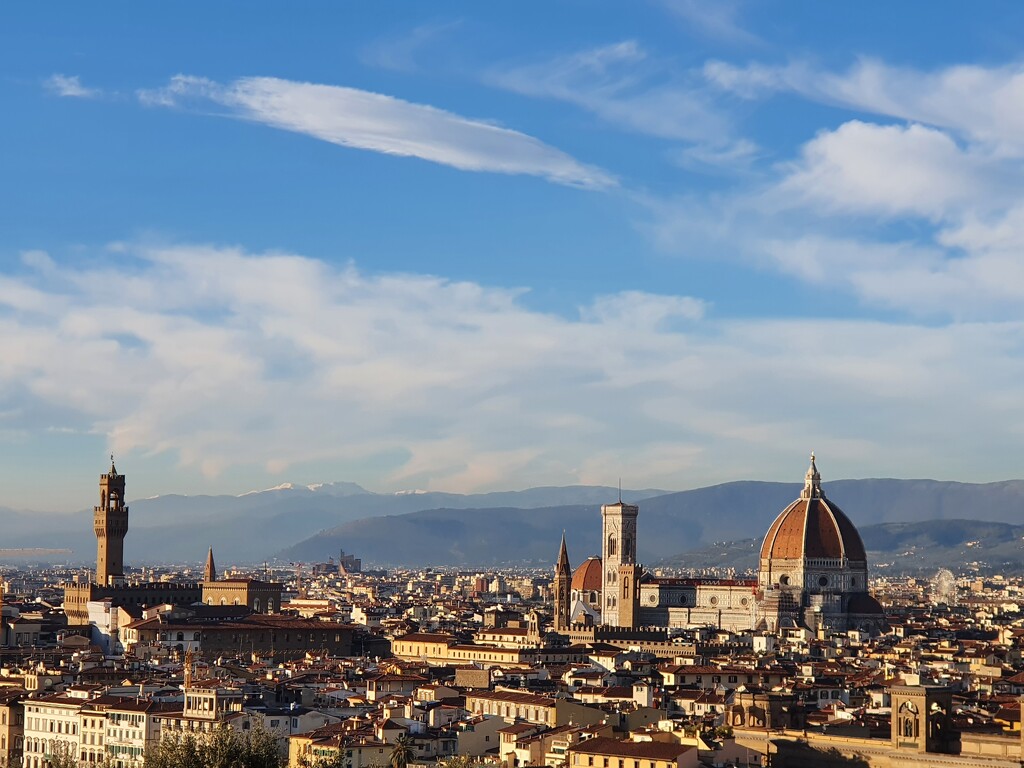 The Florentine Skyline by will_wooderson
