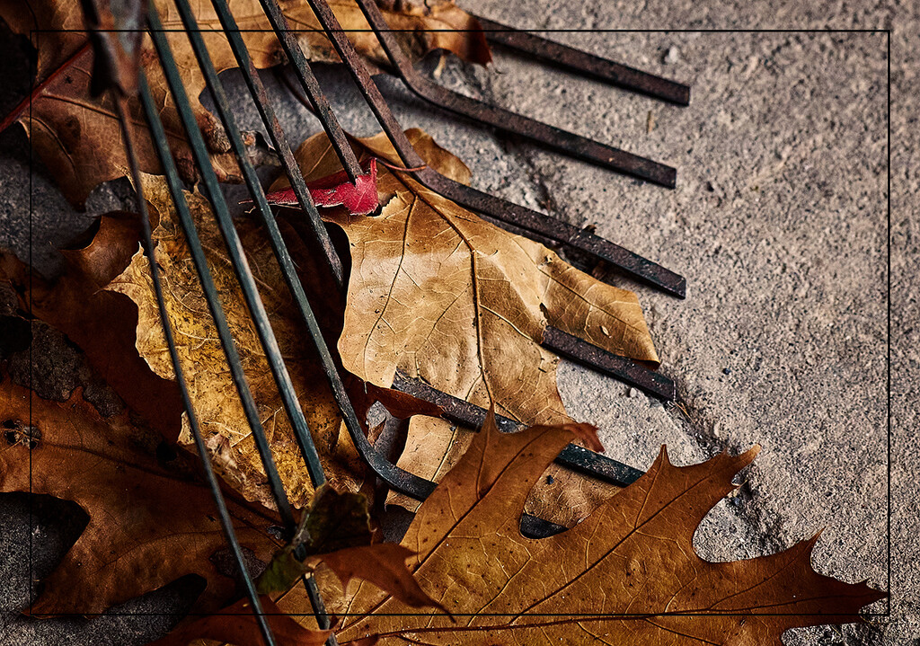 Autumn's Final Chores by gardencat
