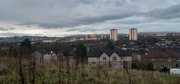 4th Dec 2021 - From the top of the brae 
